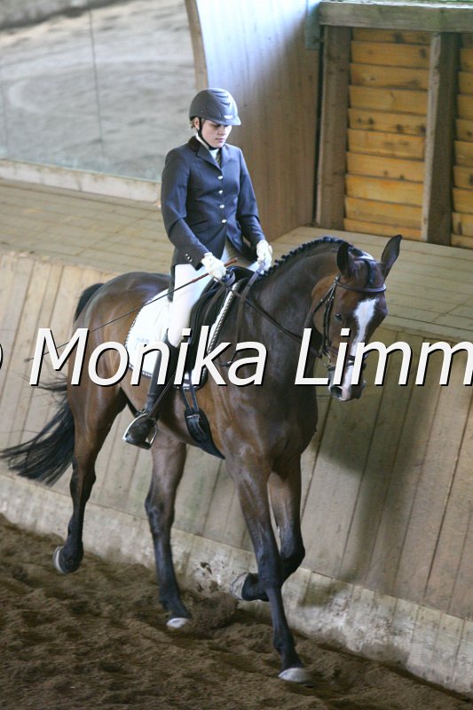 006M6710_Dressurpferde A.JPG